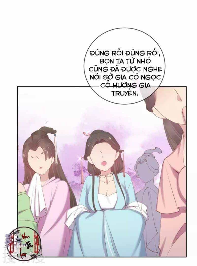 Thị Huyết Y Phi - Chương 57 - ảnh 23