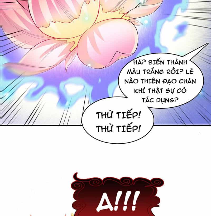 Thiên Đạo Đồ Thư Quán - Chương 291 - ảnh 7