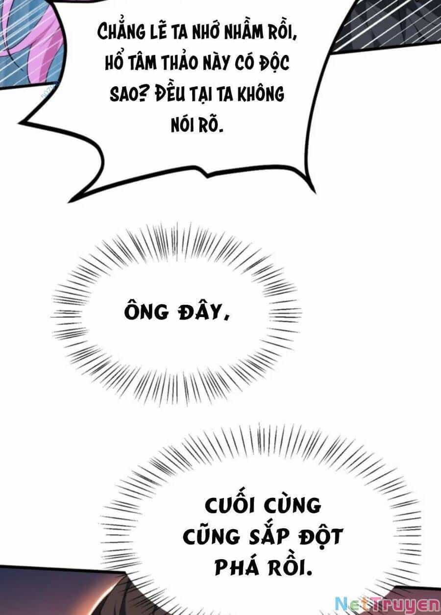 Thiên Đạo Nguyền Rủa Ư? Ta Nghịch Thiên!! - Chương 20 - ảnh 19