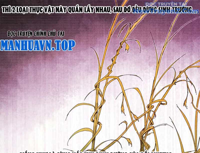 Thiên Hạ Đệ Nhất Lữ Bố - Chương 125 - ảnh 83