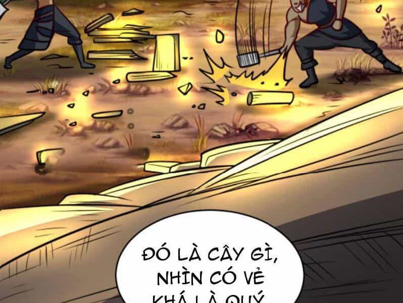 Thiên Khải Bại Gia - Chương 148 - ảnh 64