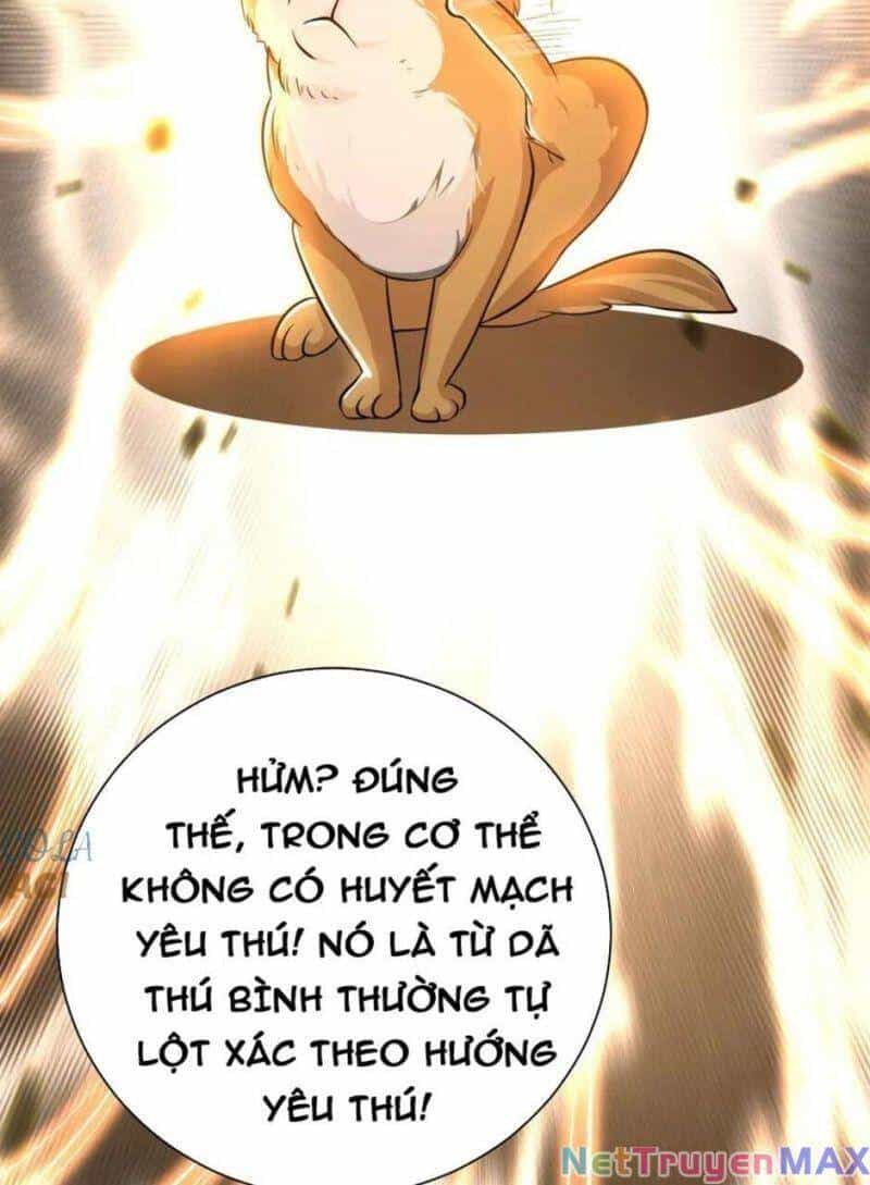 Thiên Khải Bại Gia - Chương 15 - ảnh 24