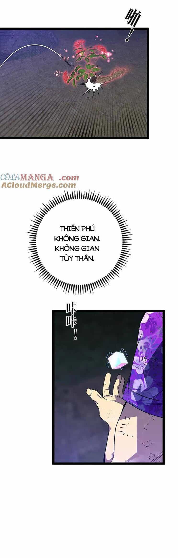 Thiên Phú Của Ngươi, Giờ Là Của Ta - Chương 75 - ảnh 14