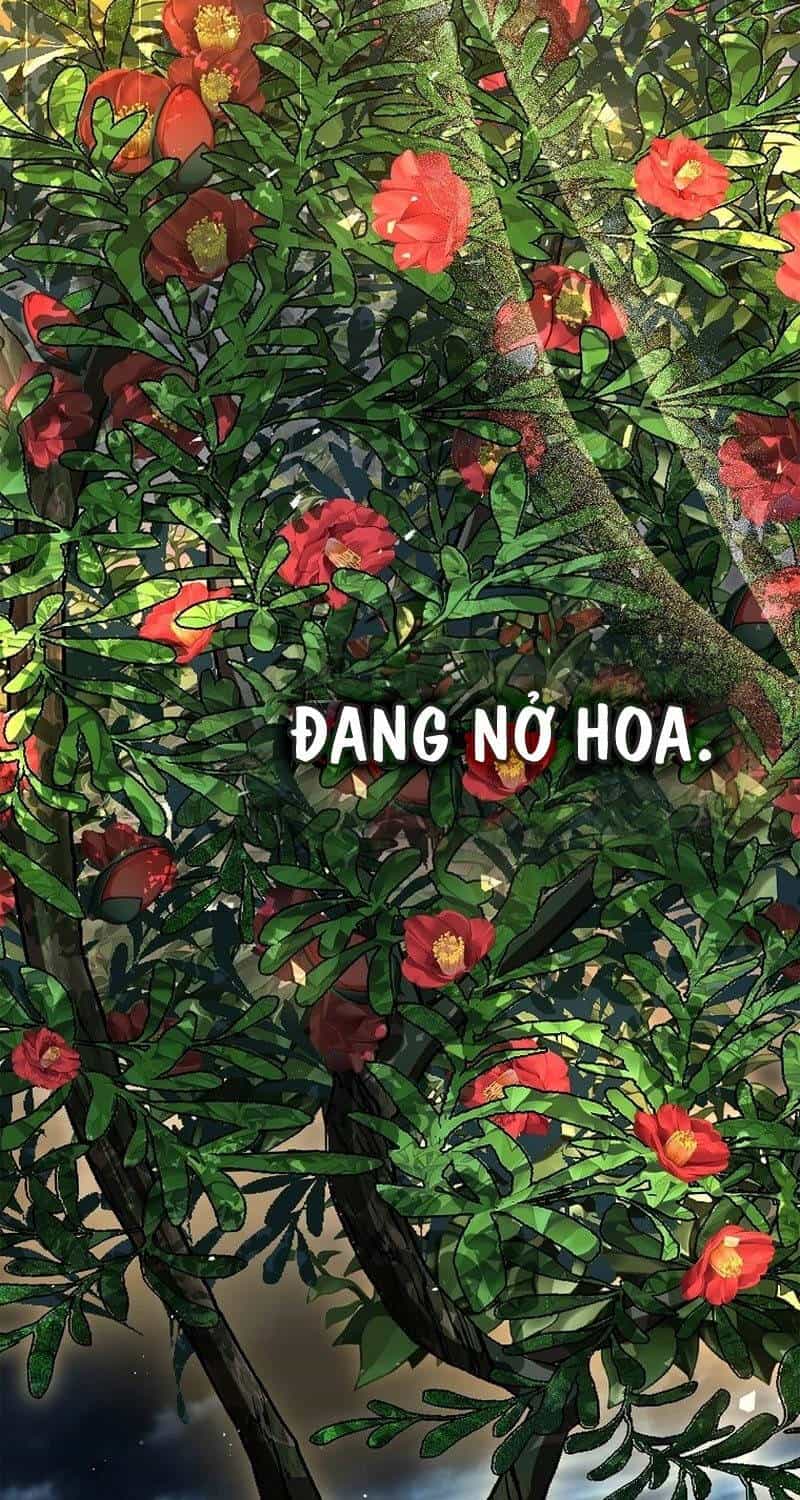 Thiên Tài Ma Pháp Sư Giấu Nghề - Chương 83 - ảnh 116