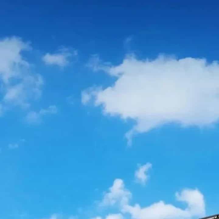 Thiên Tài Nhìn Thấu Thế Giới - Chương 59 - ảnh 48