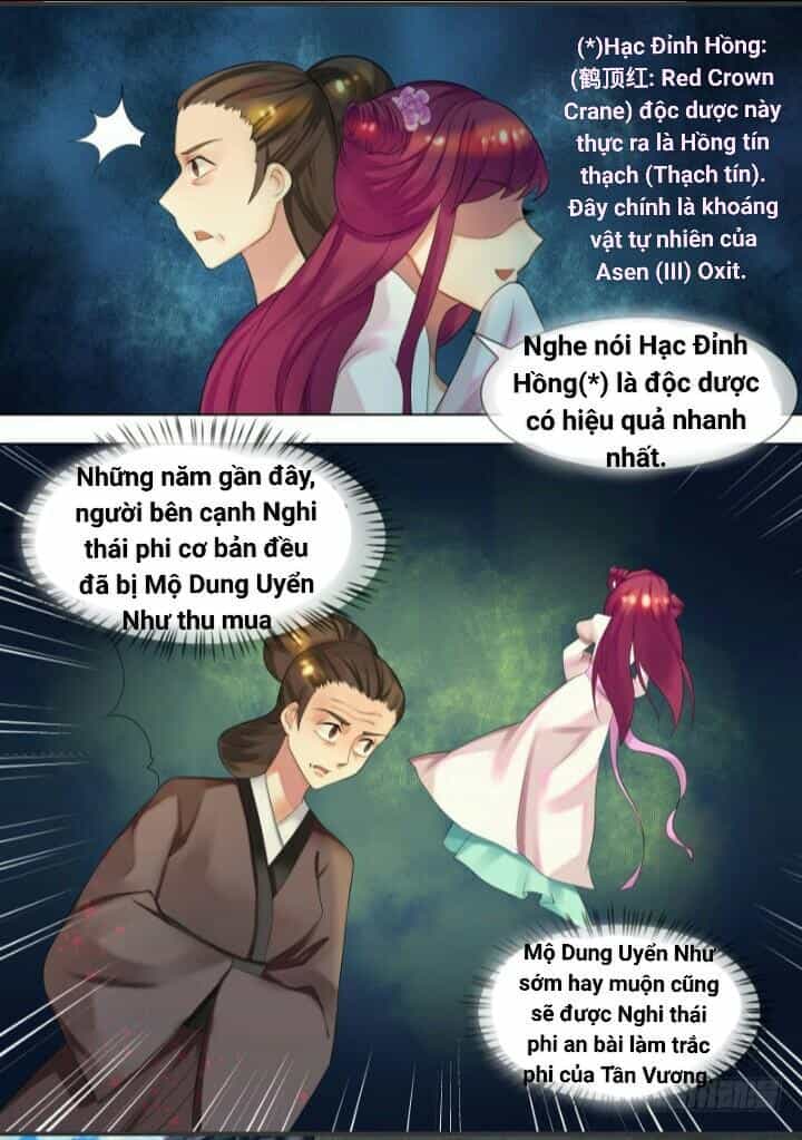 Thiên Tài Tiểu Độc Phi - Chương 32 - ảnh 5