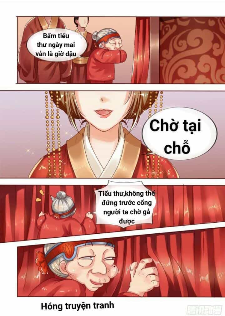Thiên Tài Tiểu Độc Phi - Chương 3 - ảnh 5