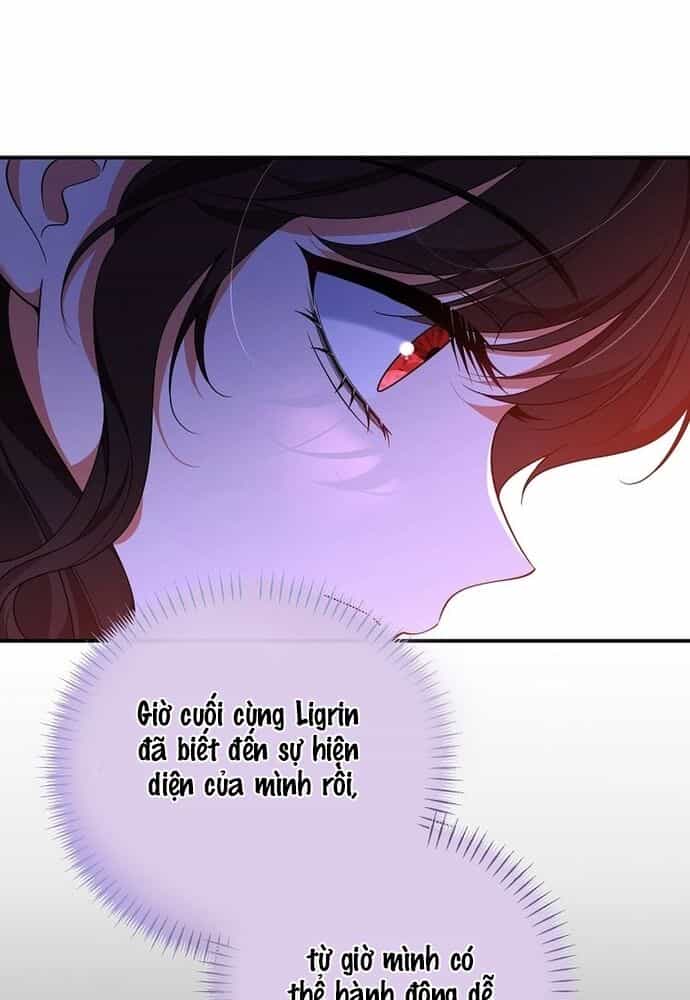 Thiếu Nữ Bị Ruồng Bỏ: Kế Hoạch Báo Thù Của Gia Tộc Pháp Sư - Chương 4 - ảnh 87
