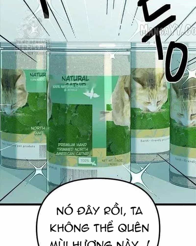 Thiếu Nữ Hoàng Đạo - Chương 21 - ảnh 143