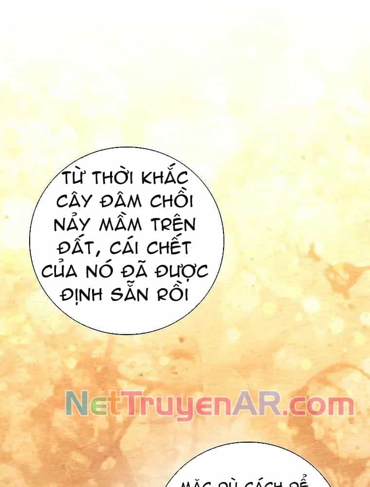 Thiếu Nữ Rồng - Chương 36 - ảnh 81