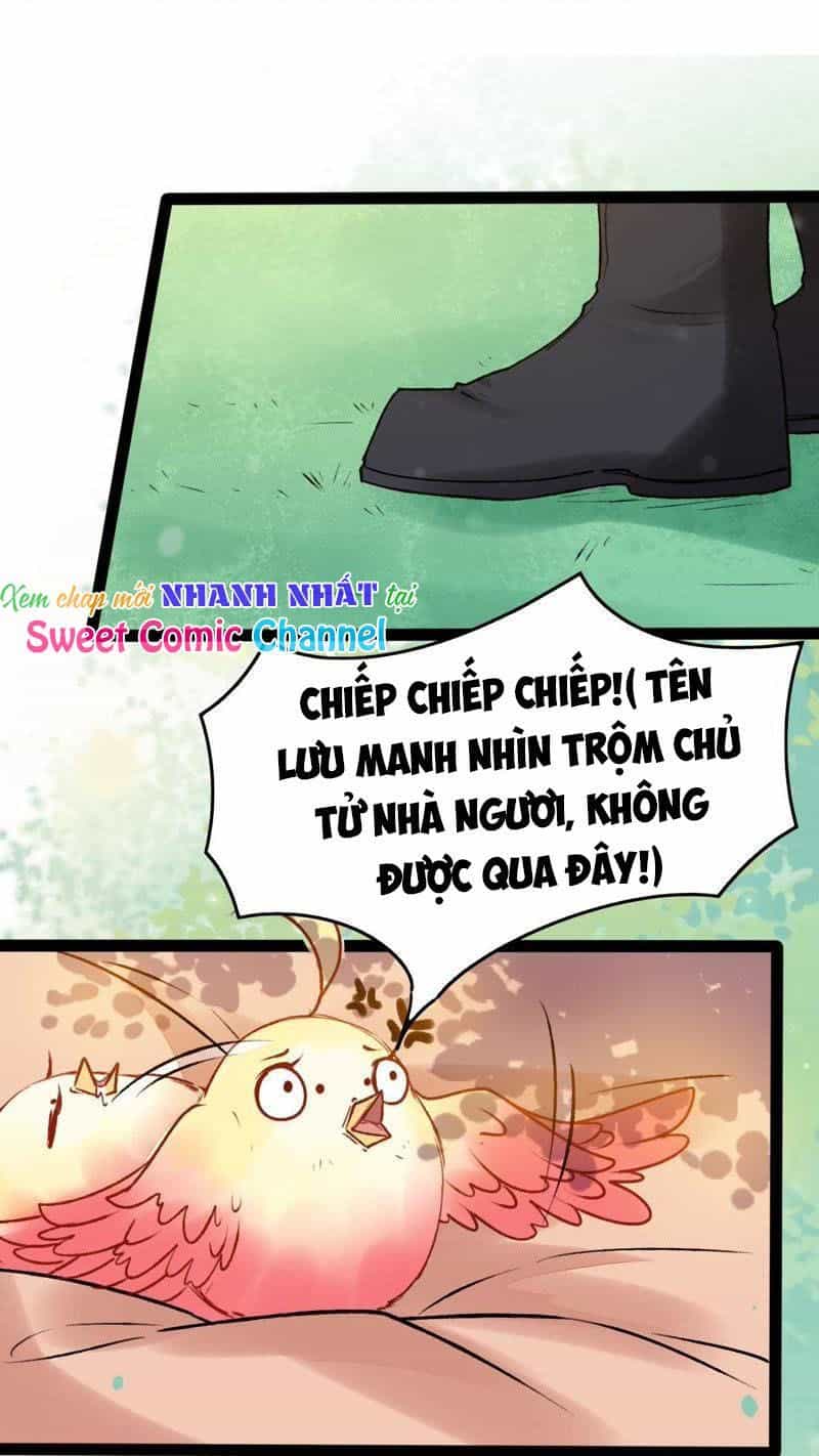 Thịnh Sủng Kiều Nữ Trở Về Triều Ca - Chương 26 - ảnh 23
