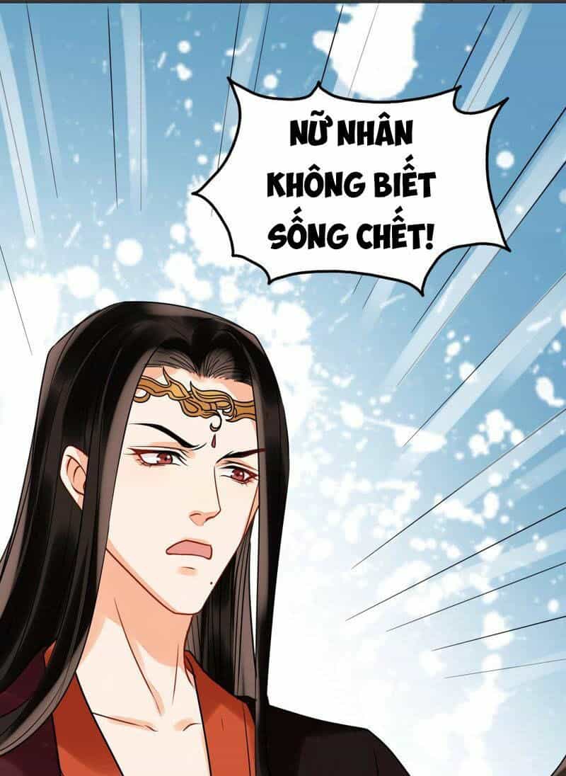 Thịnh Sủng Kiều Nữ Trở Về Triều Ca - Chương 34 - ảnh 8