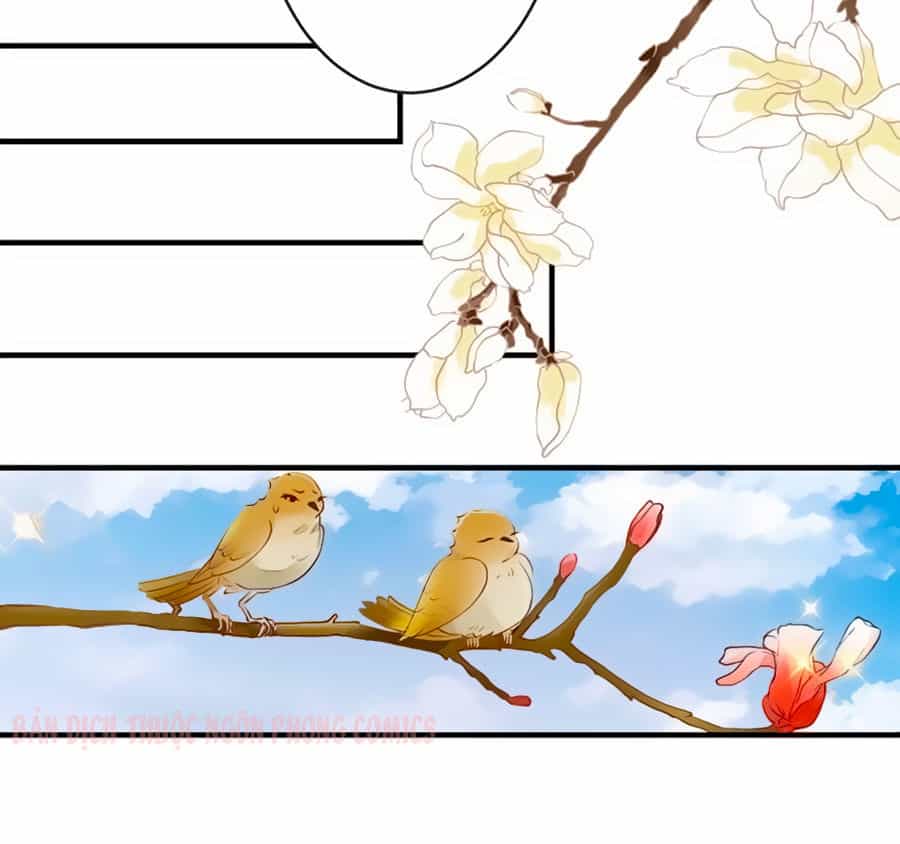 Thịnh Thế Lê Hoa Điện - Chương 16 - ảnh 38