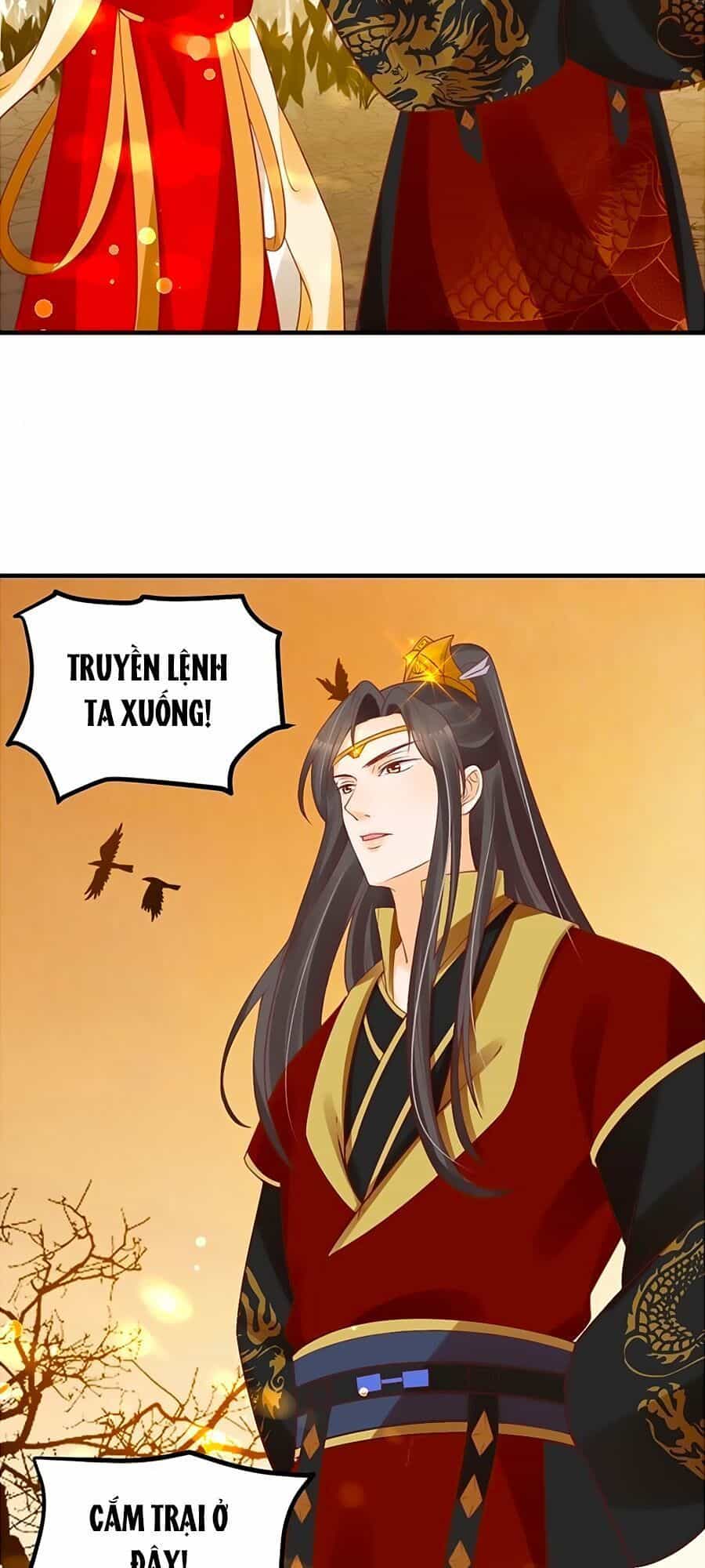Thịnh Thế Lê Hoa Điện - Chương 54 - ảnh 11