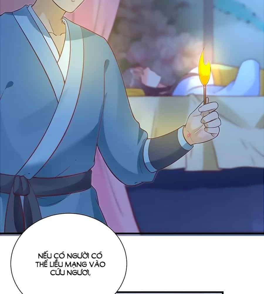 Thịnh Thế Lê Hoa Điện - Chương 61 - ảnh 67