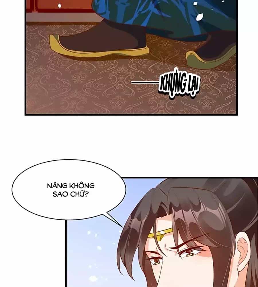 Thịnh Thế Lê Hoa Điện - Chương 75 - ảnh 13