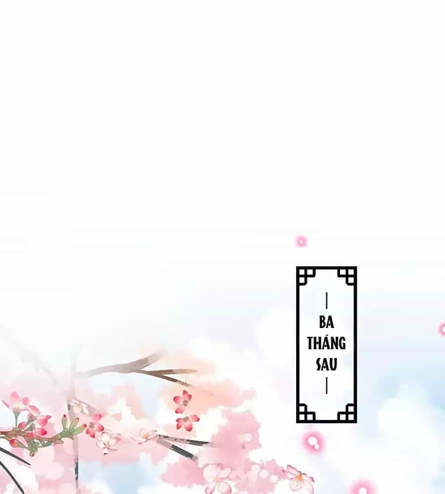 Thịnh Thế Lê Hoa Điện - Chương 91 - ảnh 15