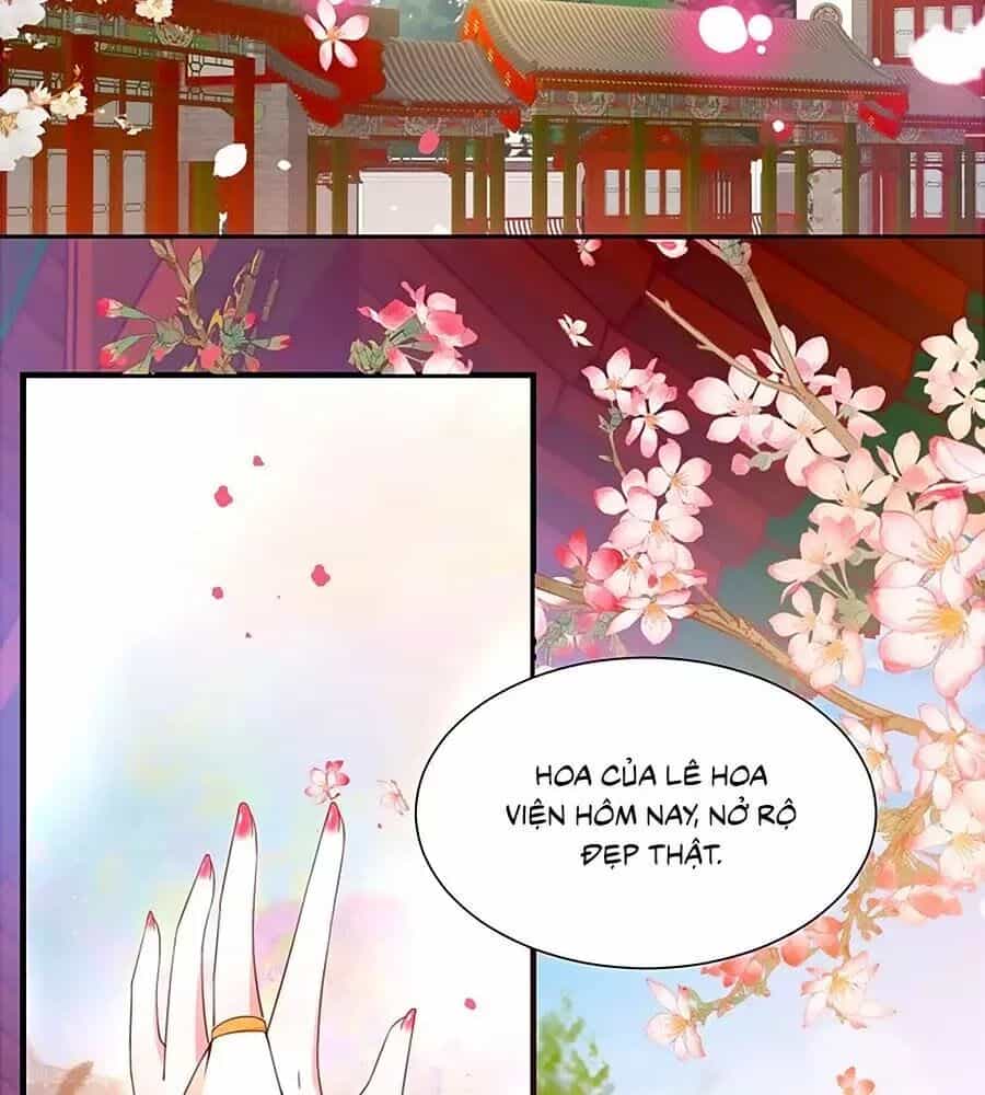 Thịnh Thế Lê Hoa Điện - Chương 92 - ảnh 16