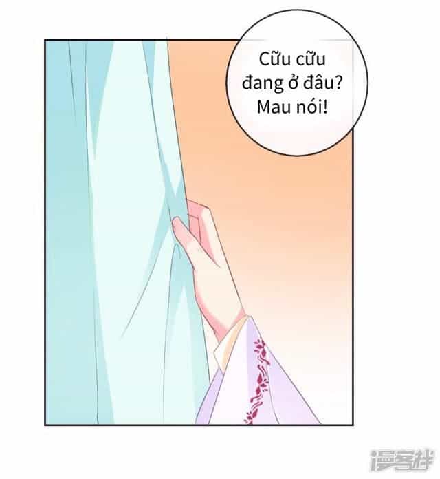 Thịnh Thế Vô Cấu - Chương 13 - ảnh 2