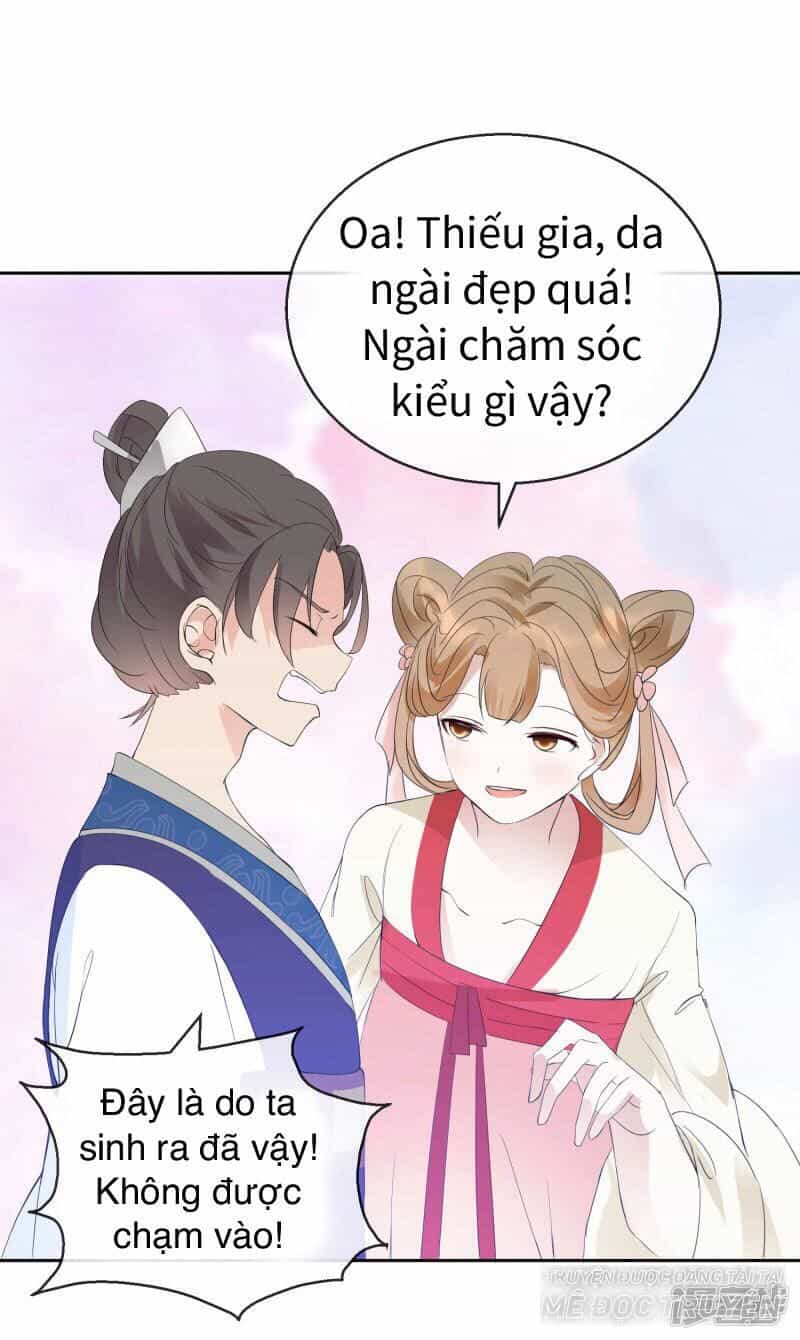Thịnh Thế Vô Cấu - Chương 16 - ảnh 16