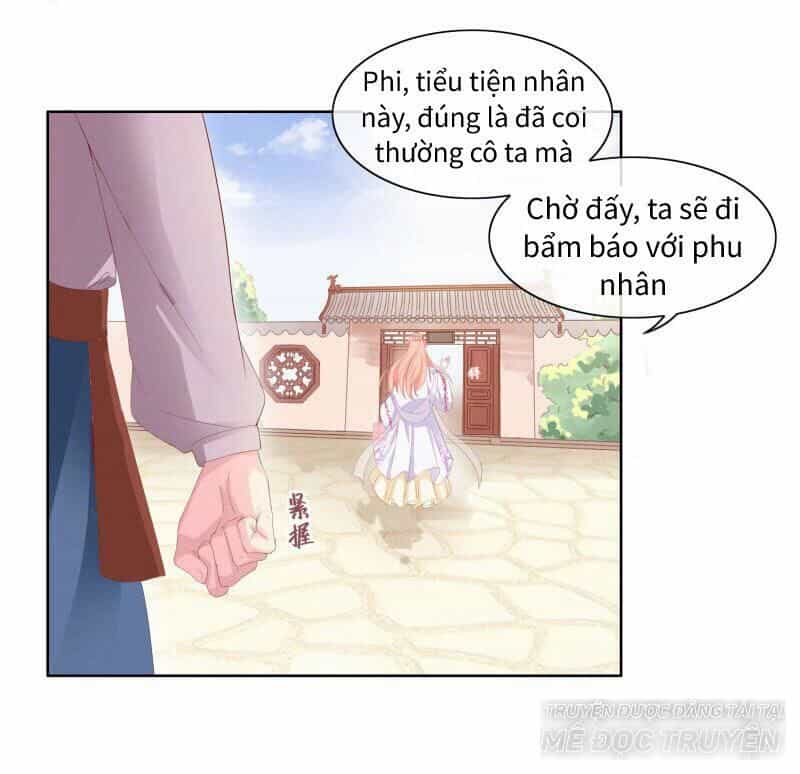 Thịnh Thế Vô Cấu - Chương 5 - ảnh 11