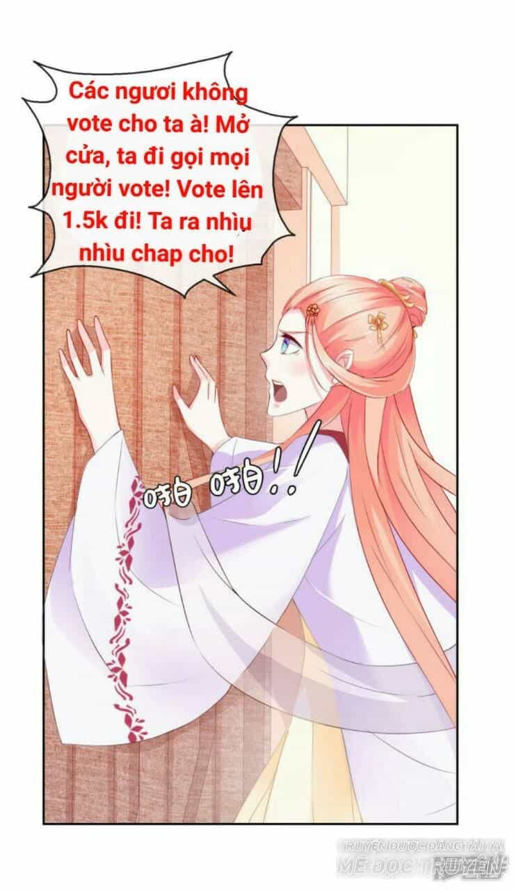 Thịnh Thế Vô Cấu - Chương 11 - ảnh 1