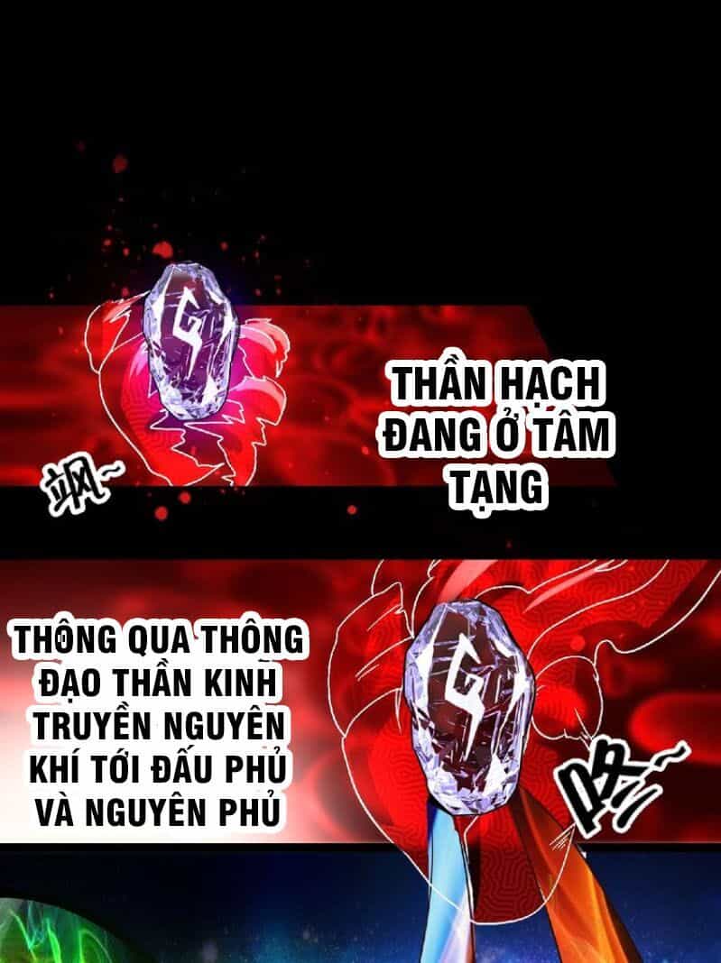 Thôn Phệ Lĩnh Vực - Chương 90 - ảnh 31