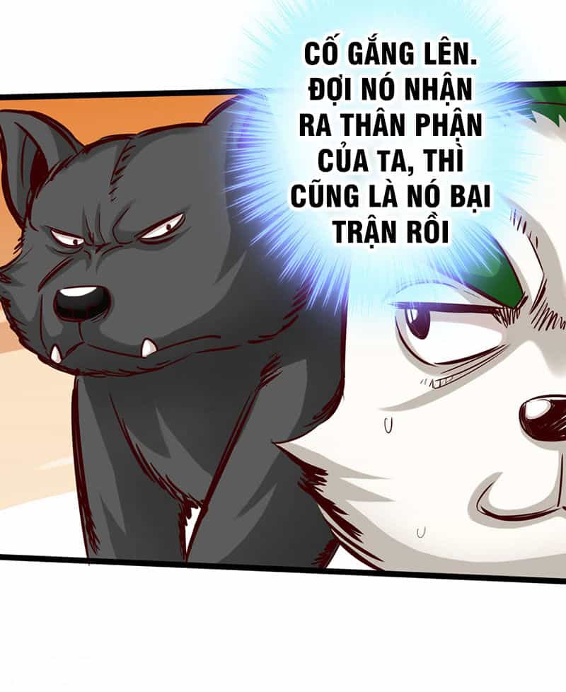 Thông Thiên Chi Lộ - Chương 14 - ảnh 36