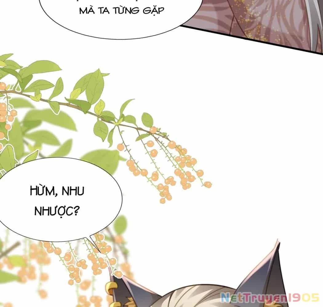 Thú Thế Nữ Vương Hôm Nay Lật Thẻ Rồi Sao ??? - Chương 41 - ảnh 23