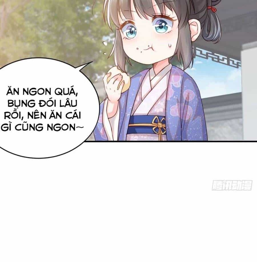 Thuần Hóa Ba Ba Bạo Quân - Chương 2 - ảnh 3