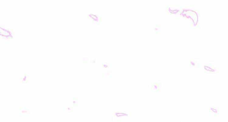 Thực Luyến Kỳ Duyên - Chương 1 - ảnh 22