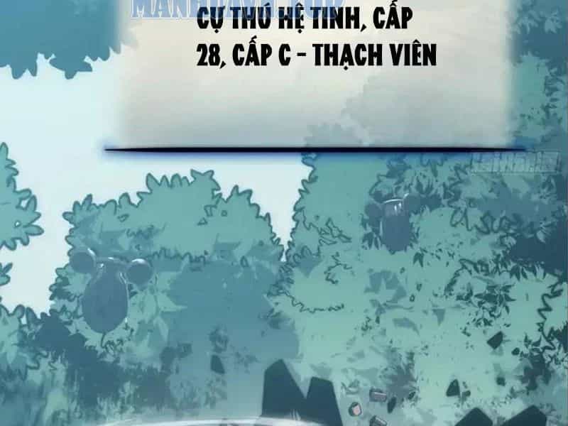 Thức Tỉnh Toàn Chức - Chương 71 - ảnh 18