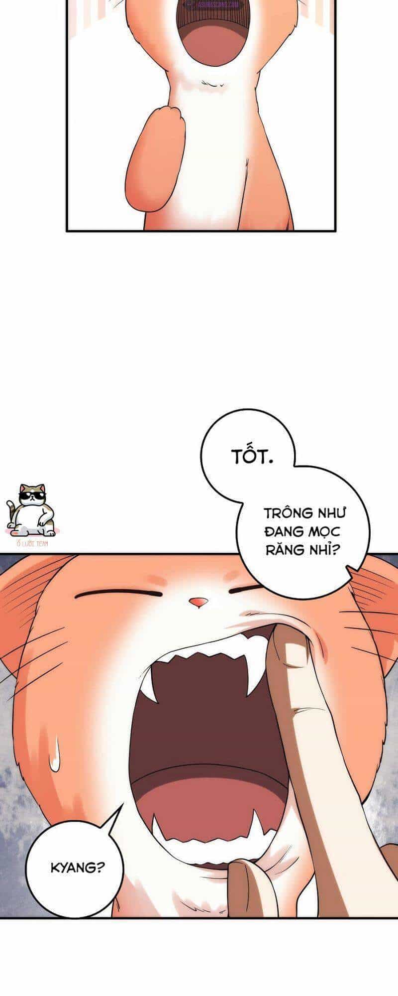 Thương Nhân Thánh Thần - Chương 31 - ảnh 22