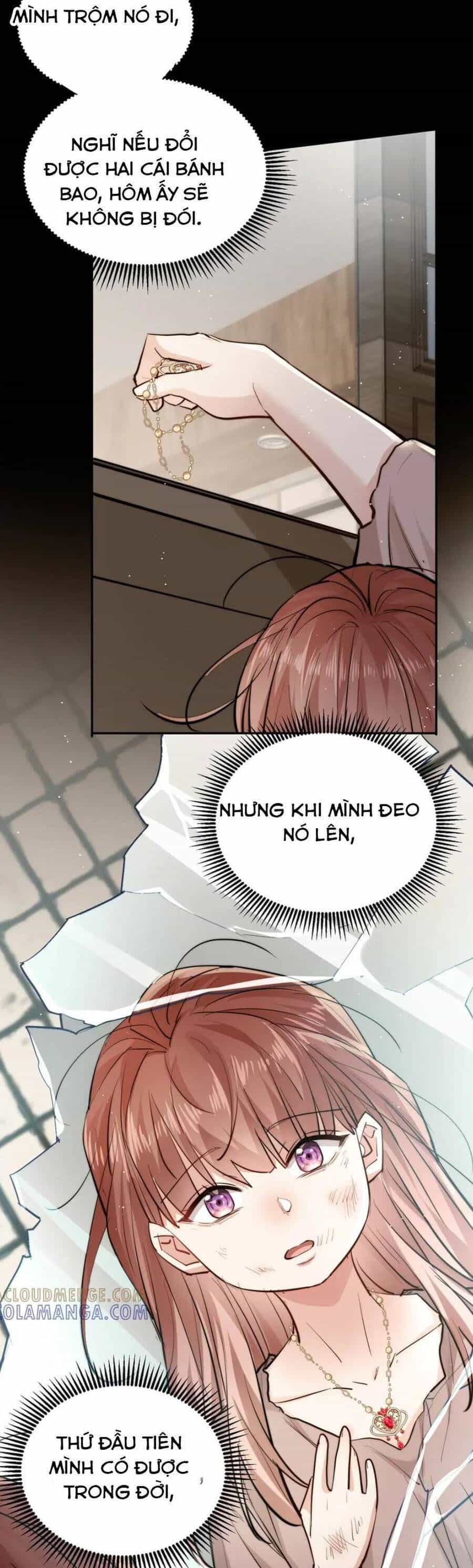 Tiểu Bảo Bối Đặc Biệt Của Tổng Tài Lạnh Lùng - Chương 59 - ảnh 19