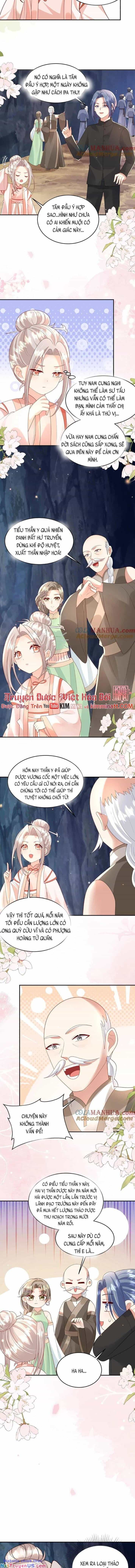 Tiểu Manh Bảo Bốn Tuổi Theo Sư Phụ Xuống Núi - Chương 217 - ảnh 3