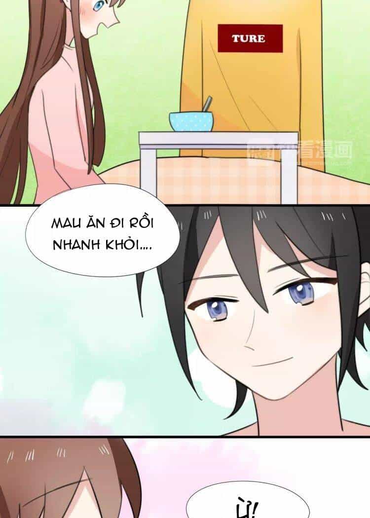 Tiểu Miêu Và Hắc Diệu Thạch - Chương 15 - ảnh 20