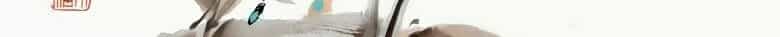 Tiếu Ngạo Giang Hồ - Chương 86.2 - ảnh 57
