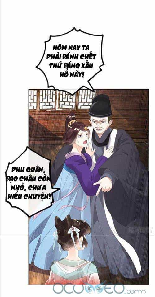 Tiêu Rồi, Lại Bị Bệnh Kiều Để Mắt Đến! - Chương 4 - ảnh 33