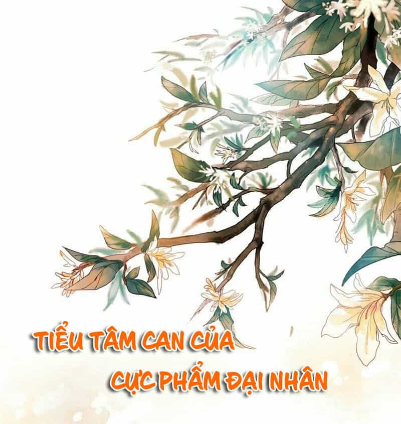 Tiểu Tâm Can Của Cực Phẩm Đại Nhân - Chương 11 - ảnh 2