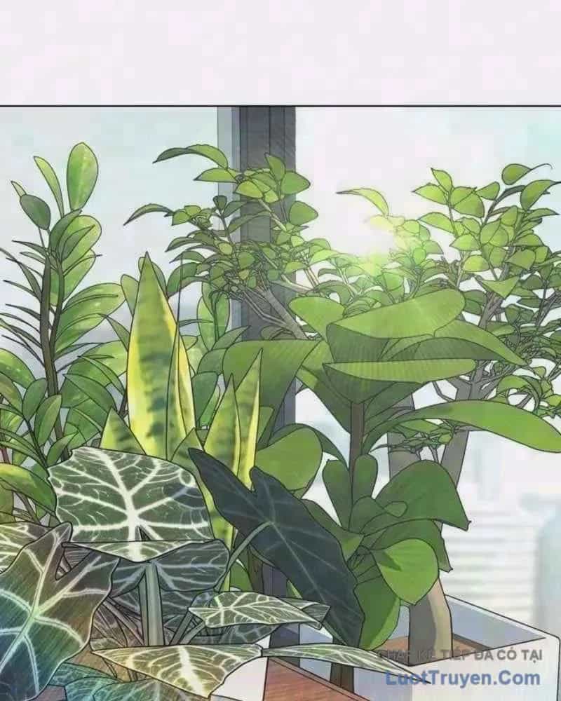 Tiểu Thiếu Gia Gia Tộc Tài Phiệt - Chương 210 - ảnh 2