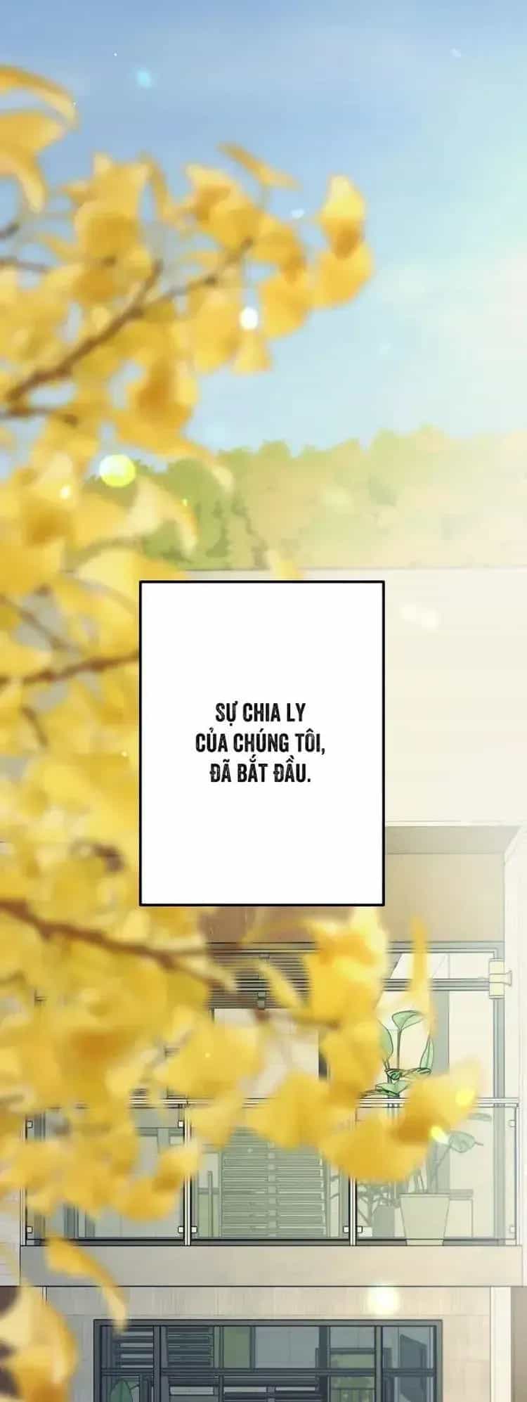 Tình Cờ Ta Gặp Nhau - Chương 103 - ảnh 76