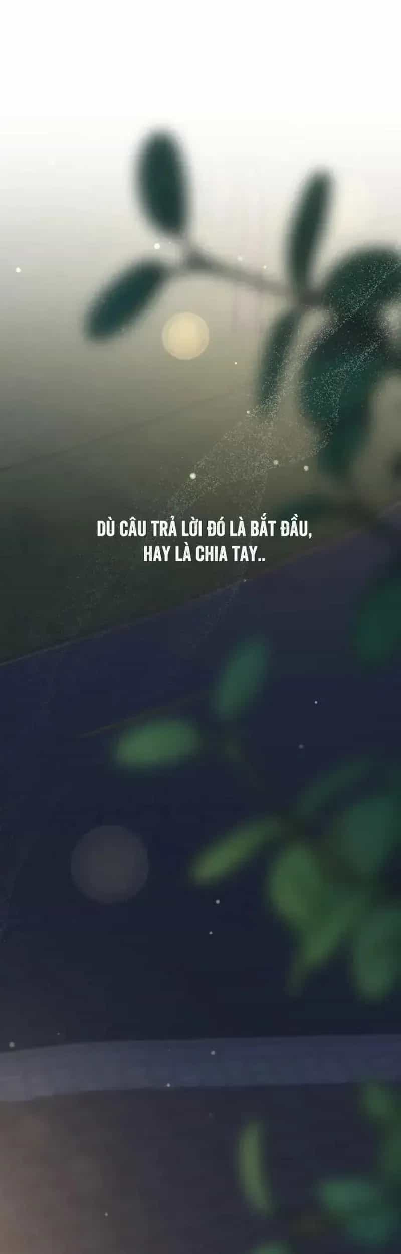 Tình Cờ Ta Gặp Nhau - Chương 122 - ảnh 52