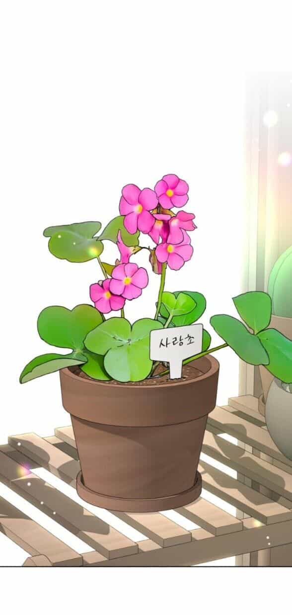 Tình Yêu Của Ik Seob - Chương 70 - ảnh 35