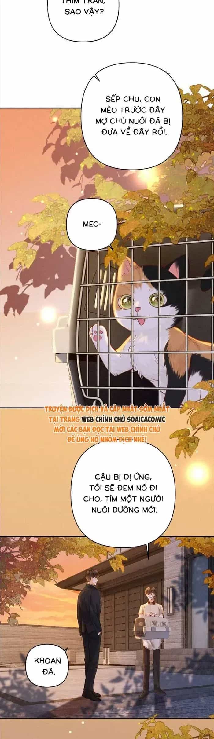 Tình Yêu Muộn Màng - Chương 63 - ảnh 8