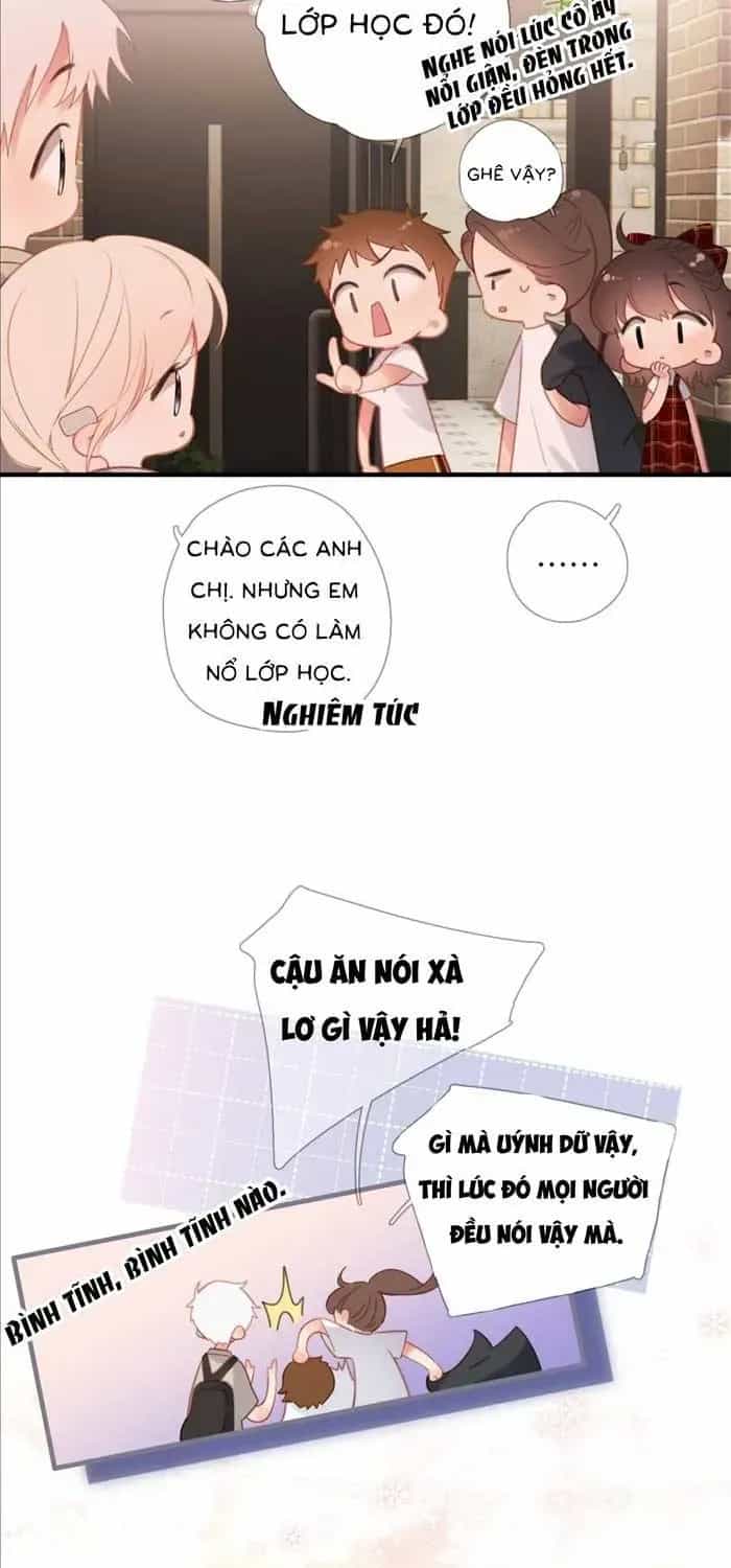 Tố Hồi Xuân Thời - Chương 68 - ảnh 26
