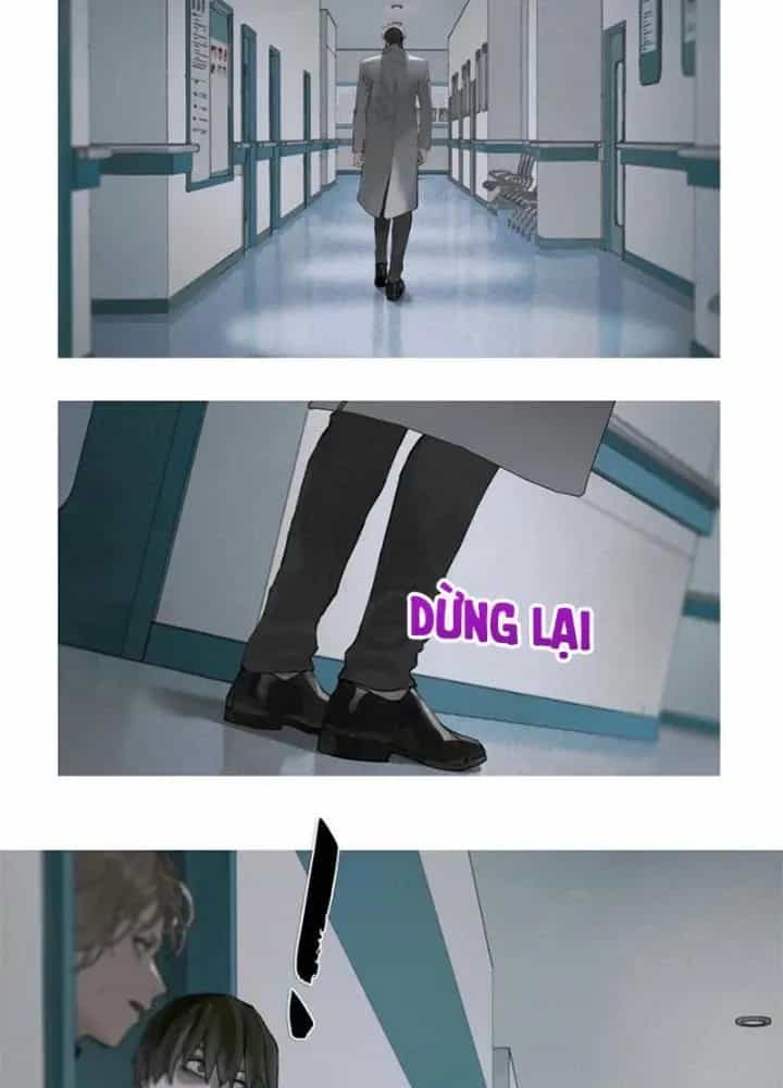 Tơ Nhện - Chương 24 - ảnh 25