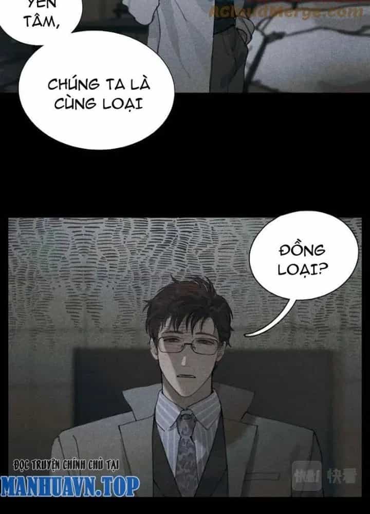 Tơ Nhện - Chương 25 - ảnh 45