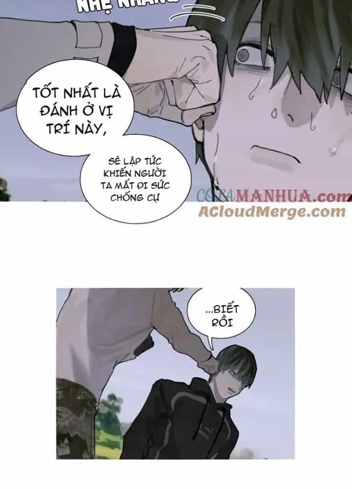 Tơ Nhện - Chương 31 - ảnh 33