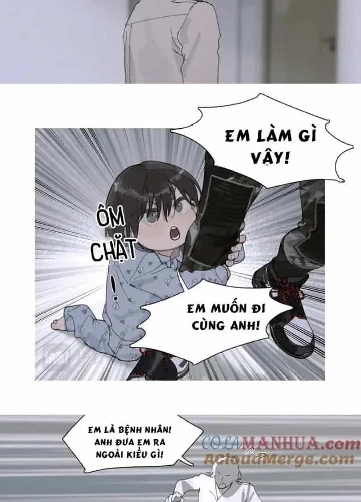 Tơ Nhện - Chương 40 - ảnh 17