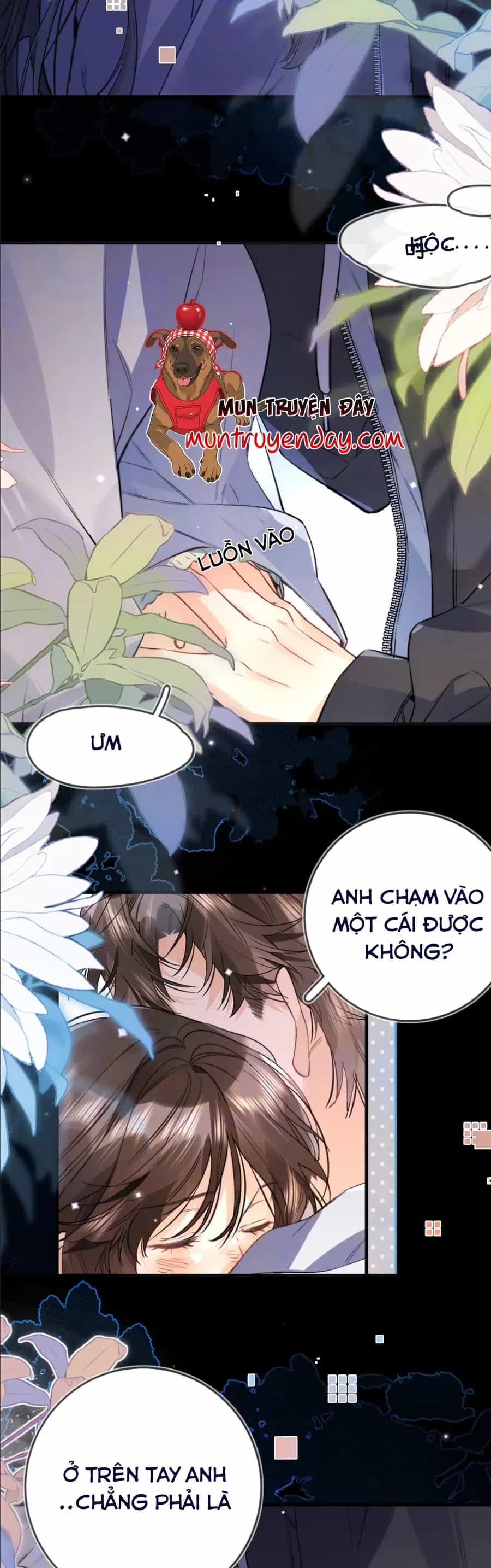 Tỏ Tình - Chương 94 - ảnh 12